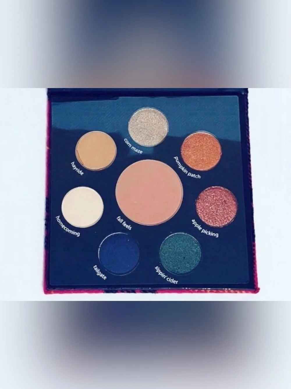 Tarte Fall Feels Eye & Cheek Palette